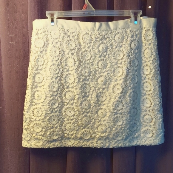 Gap Lace Skirt - Picture 3 of 7